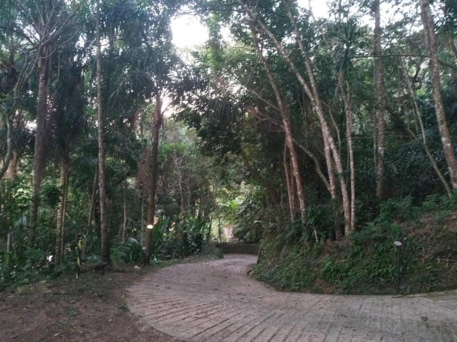 Ubud - Casa Com Piscina Privativa E Vista O Mar Em *